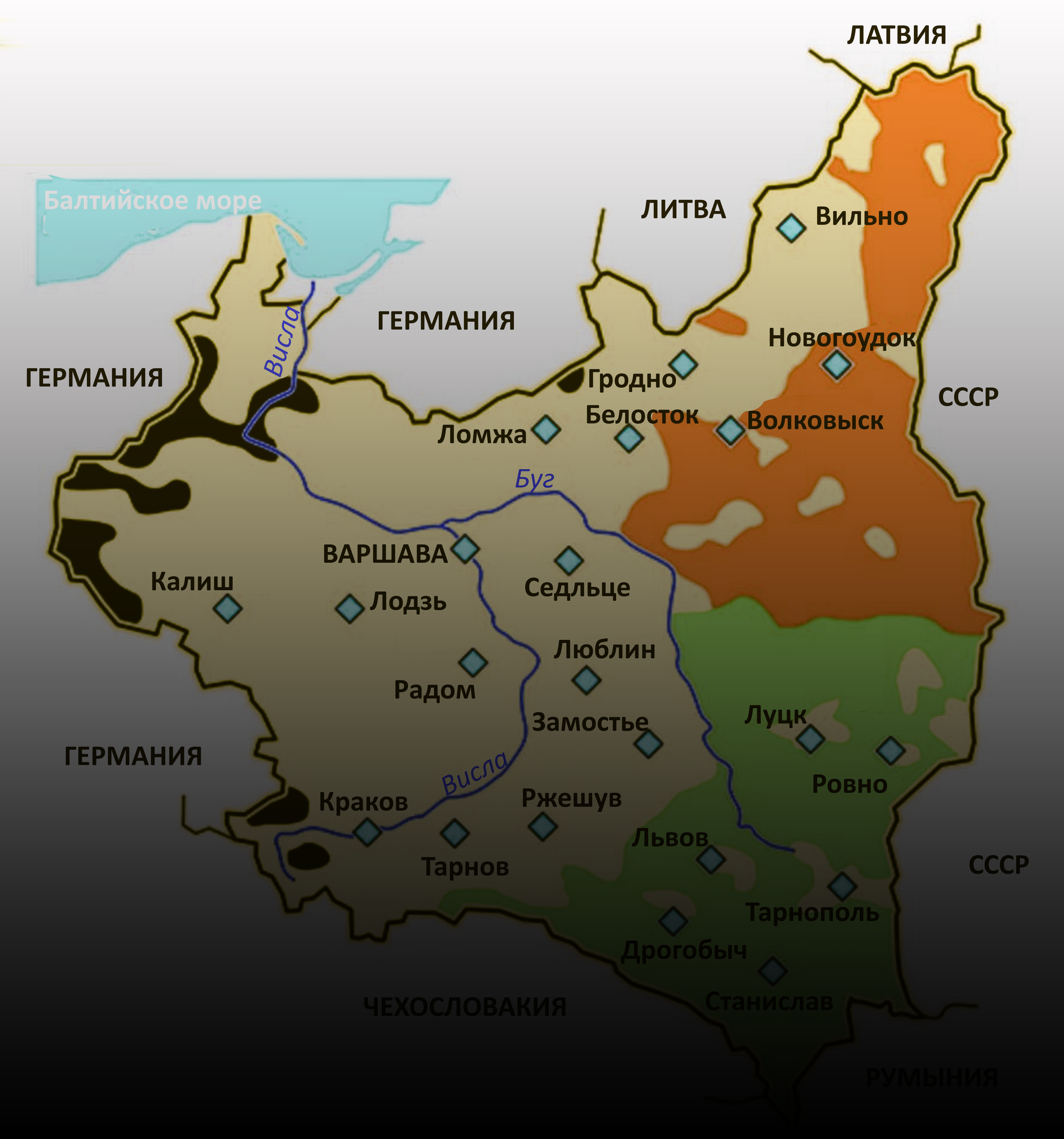 На краю истории. Польские фольксдойче на восточном фронте