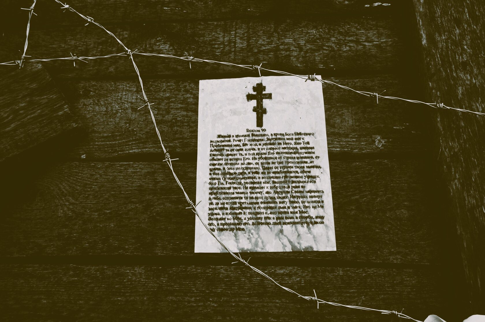 Destinos entrecruzados. Un poco sobre los motivos de la nueva escisión de la Iglesia en Ucrania